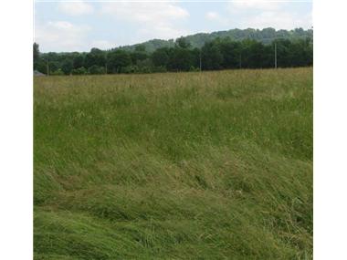 Land for sale in Montgaillard (Midi-Pyrenees)