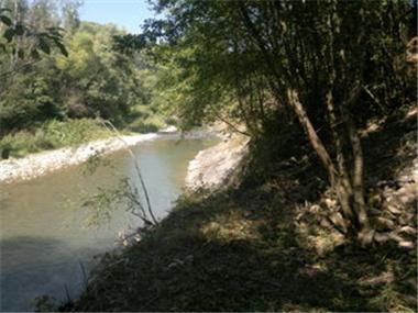 Land for sale in Pravets (Sofiya)