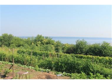 Land for sale in Kozloduy (Vratsa)
