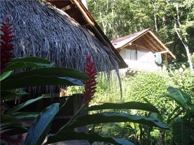 Commercial for sale in Matapalo (Puntarenas)