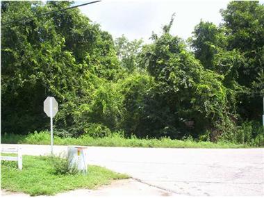 Land for sale in Lillian (Alabama)