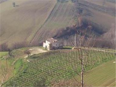 Country House for sale in Monsampolo del Tronto (The Marches)