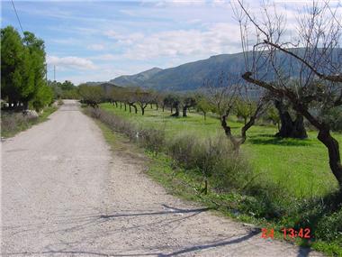 Finca for sale in Planes (Valencia)