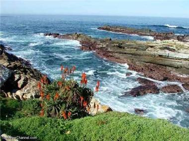 Development Land for sale in Jeffreys Bay (Province of Eastern Cape)