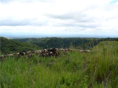 Commercial for sale in Boquete (Chiriqui)