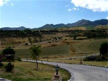 Finca for sale in Alhaurin de la Torre (Andalucia)