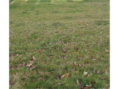 Land for sale in Bartres (Midi-Pyrenees)