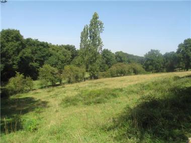 Land for sale in Miossens-Lanusse (Aquitaine)