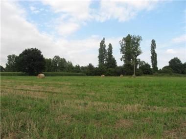 Land for sale in Bazillac (Midi-Pyrenees)