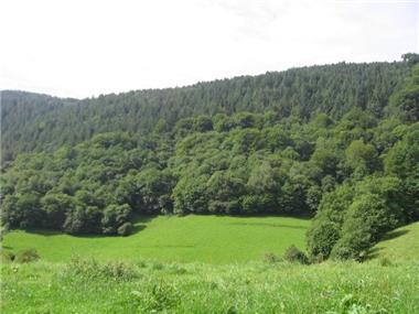 Land for sale in Espeche (Midi-Pyrenees)