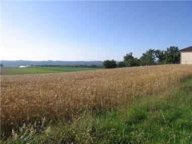 Land for sale in Lalanne-Trie (Midi-Pyrenees)