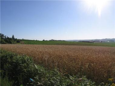 Land for sale in Lalanne-Trie (Midi-Pyrenees)