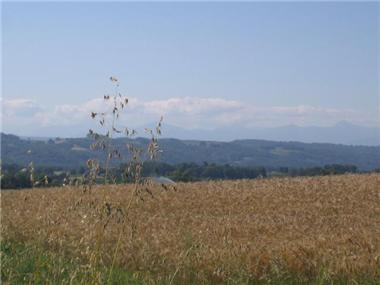 Land for sale in Lalanne-Trie (Midi-Pyrenees)