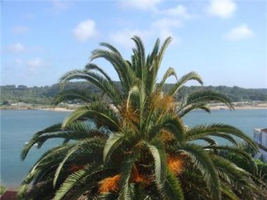 Chalet for sale in Odemira (Beja)