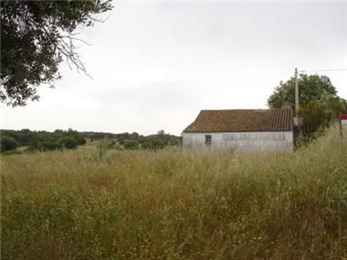 Farmhouse for sale in Monforte (Portalegre)