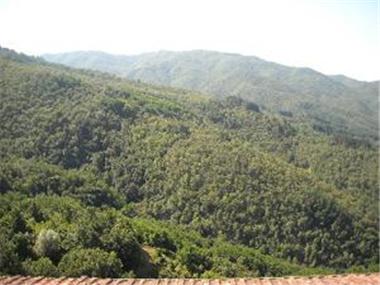 Village House for sale in Bagni di Lucca (Tuscany)