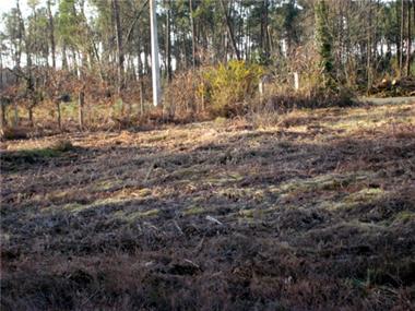Land for sale in Saint-Gor (Aquitaine)