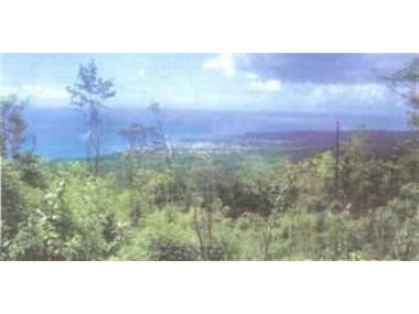 House for sale in Laborie (Laborie)