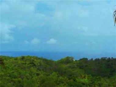 Raw Land for sale in Choiseul (Choiseul)