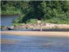 Land/Ruins for sale in Quebec (Quebec)