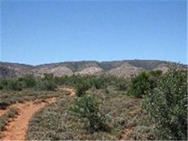 Land for sale in Steytlerville (Province of Eastern Cape)