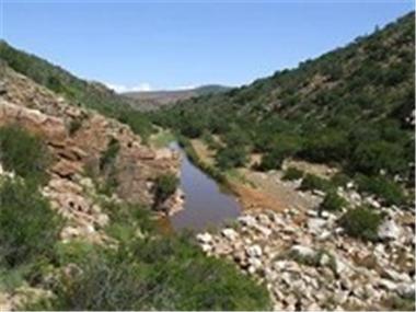 Land for sale in Steytlerville (Province of Eastern Cape)