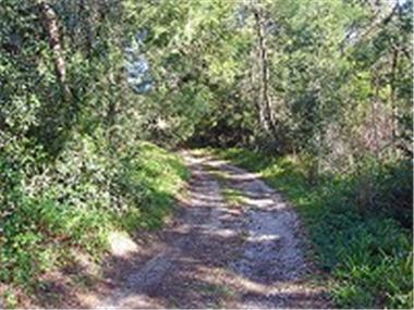 House for sale in Plettenberg Bay (Province of the Western Cape)