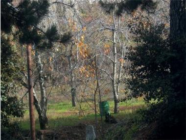 Land for sale in Prodhromos (Limassol)