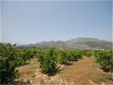 Plot for sale in Orba (Valencia)