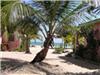 Land/Ruins for sale in Placentia Village (Stann Creek District)