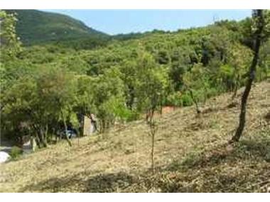 Other for sale in Herault (Languedoc-Roussillon)