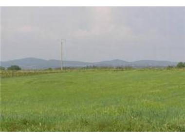 Apartment       for sale in Herault (Languedoc-Roussillon)