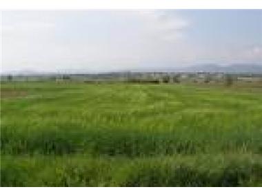 Apartment for sale in Herault (Languedoc-Roussillon)