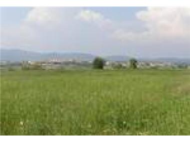 Apartment       for sale in Herault (Languedoc-Roussillon)