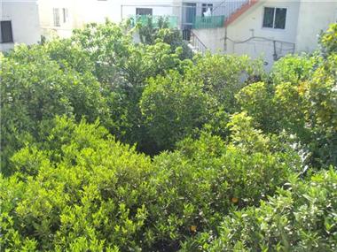 House/villa for sale in Tarxien (Malta)