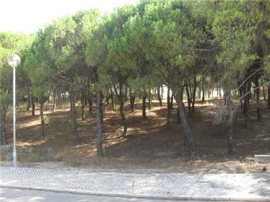Land for sale in Praia Verde (Faro)