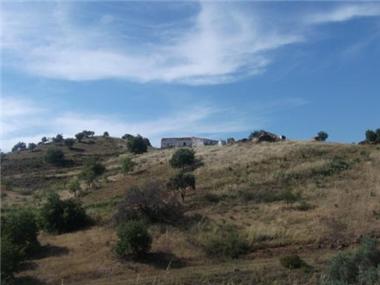 Land for sale in Azinhal (Faro)