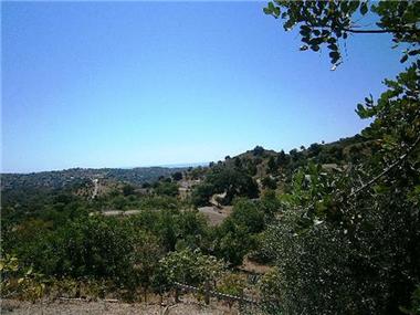 Land for sale in Santa Catarina da Fonte do Bispo (Faro)
