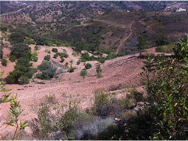 Land for sale in Santa Catarina da Fonte do Bispo (Faro)