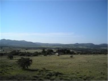 Land for sale in Thornhill (Province of Eastern Cape)