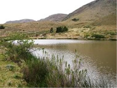 Land for sale in Elandsrivier (Province of Eastern Cape)