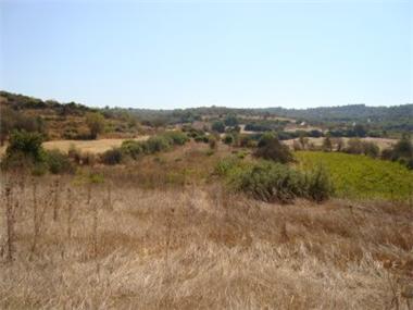 Land for sale in Amargeti (Paphos)