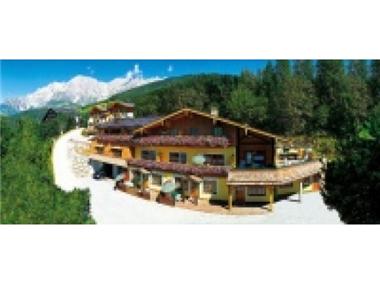 Commercial for sale in Muhlbach am Hochkonig (Salzburg)