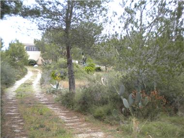Plot for sale in Javea (Valencia)