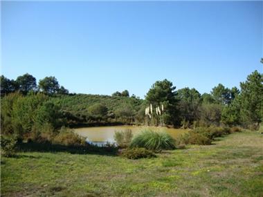 Renovation for sale in Montmoreau-Saint-Cybard (Poitou-Charentes)