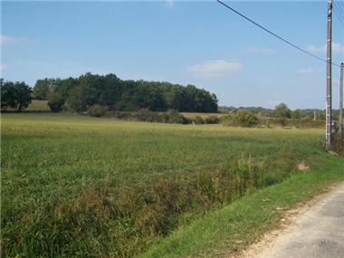 Land for sale in Lascazeres (Midi-Pyrenees)