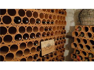 Barn_conversion for sale in Montoulieu-Saint-Bernard (Midi-Pyrenees)