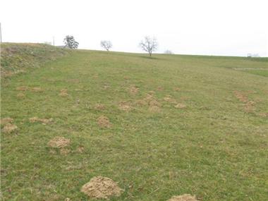 Land for sale in Oleac-Debat (Midi-Pyrenees)