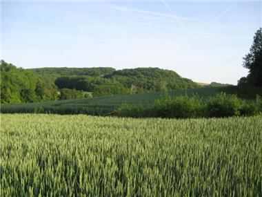 Barn_conversion for sale in Pessan (Midi-Pyrenees)