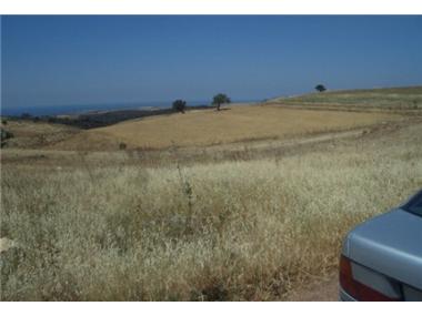 Other for sale in Souskiou (Paphos)